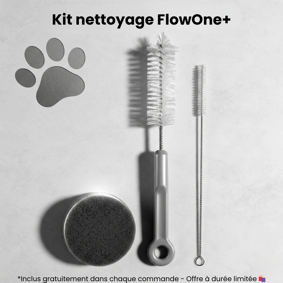 Flow One+™ - Chat en bonne santé 🫀