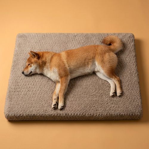 3D RecoverCloud - Confort Canin