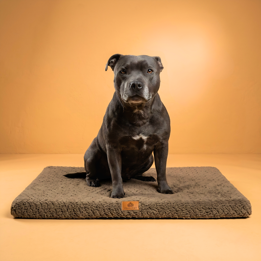3D RecoverCloud - Confort Canin