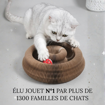 ClawFree - Jouet interactif