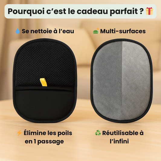 CleanPad™ - Ramasse poils