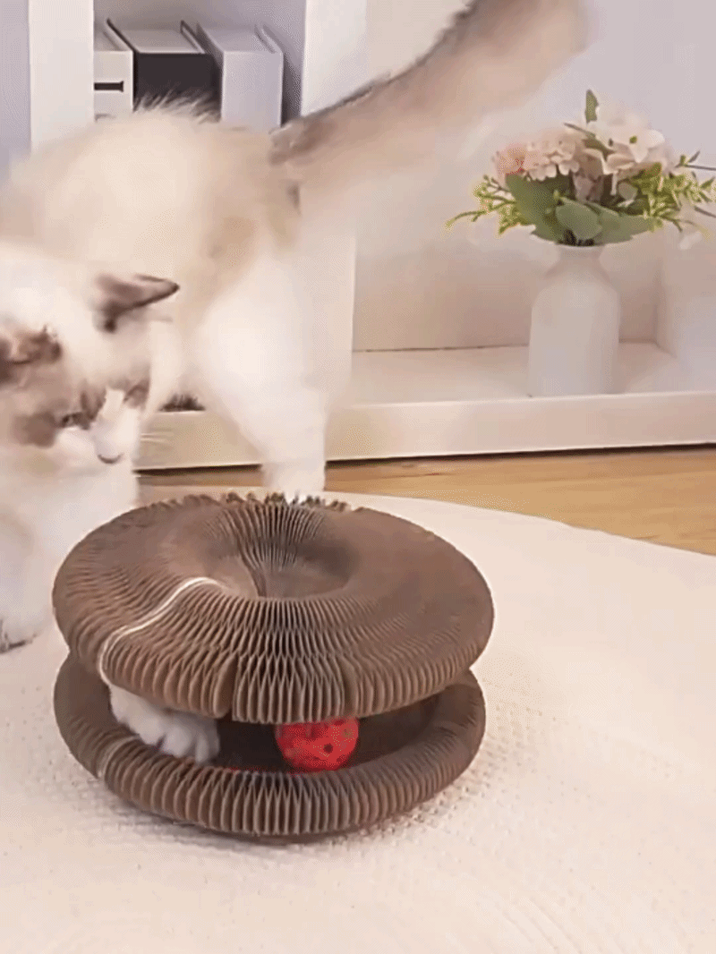 ClawFree - Jouet interactif