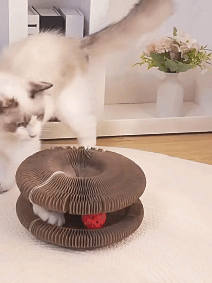 ClawFree - Jouet interactif