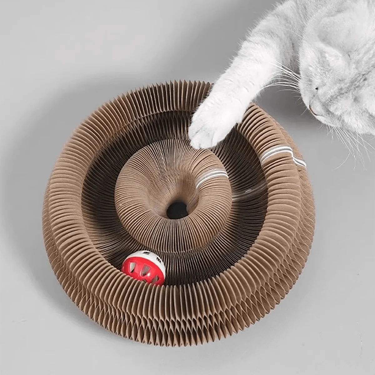 ClawFree - Jouet interactif