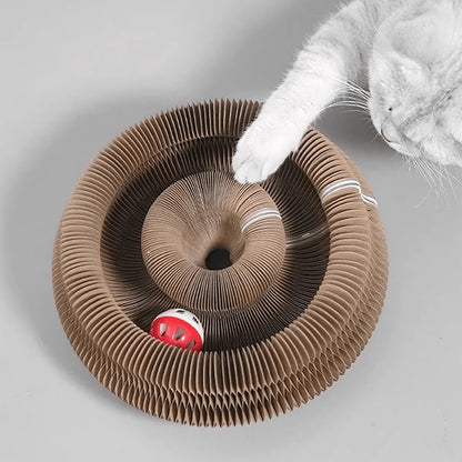 ClawFree - Jouet interactif